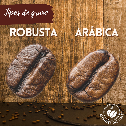 Descubriendo los Diferentes Tipos de Granos de Café: ¡Deleita tu Paladar con Variedades Únicas!