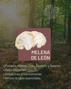 Café Claridad - Melena de León