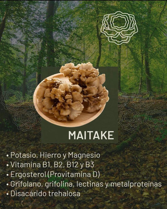 Café Armonía - Maitake