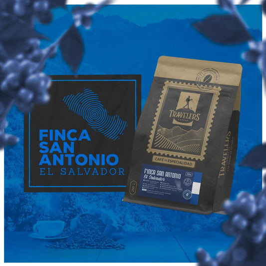 Finca San Antonio - El Salvador