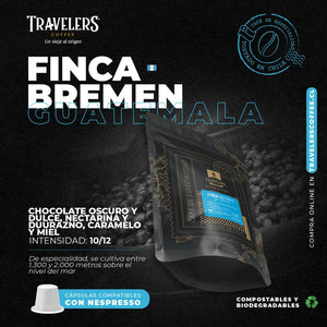 Finca Bremen - Guatemala