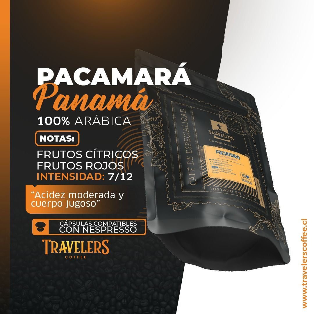 Cafe Pacamara Pacamará - Panamá – Amantes del Café
