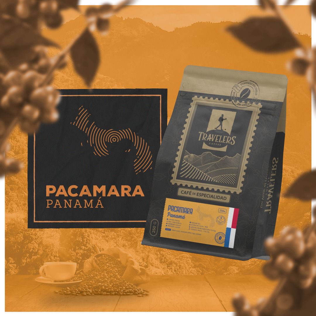Pacamará - Panamá